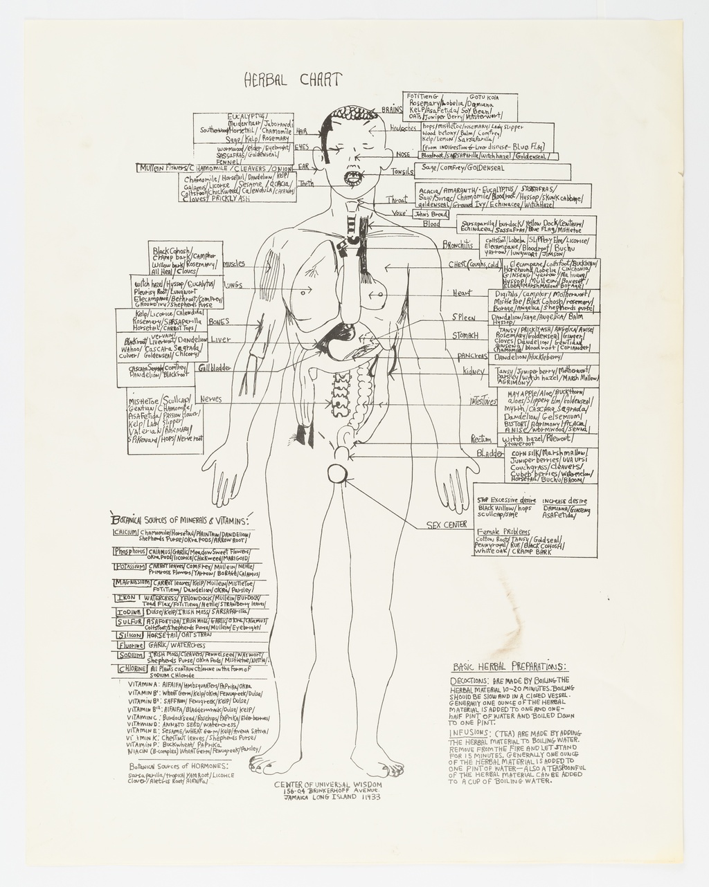 An anatomical illustration of a human figure titled "Herbal Chart." Arrows point to parts of the figure and label them with botanic names and descriptions.&nbsp;